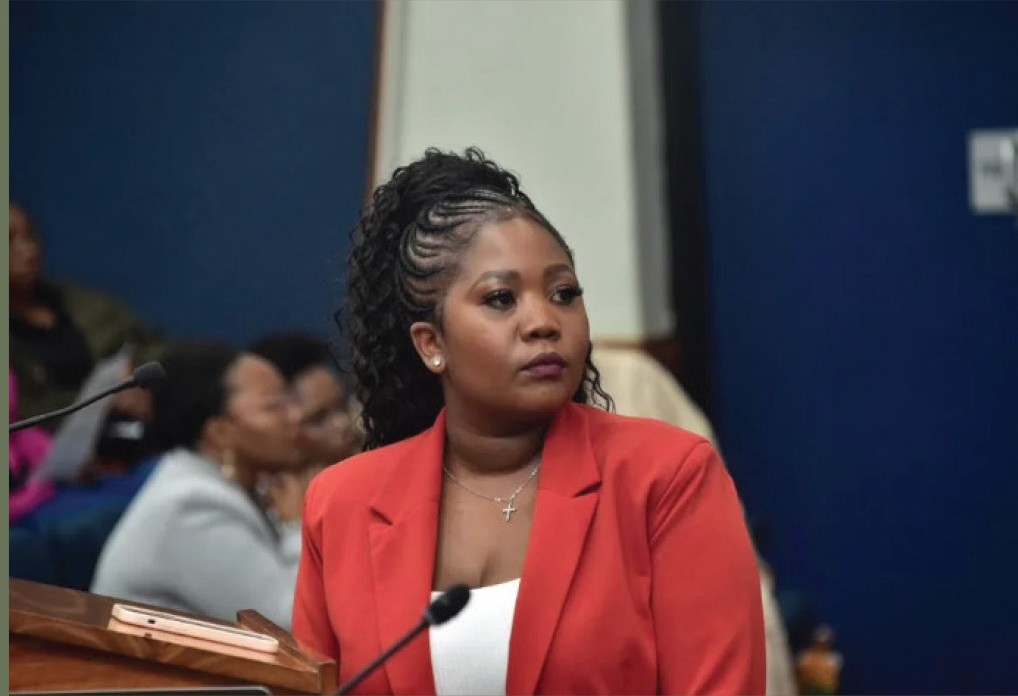 Silindelo Sebata speaking at a live panel discussion